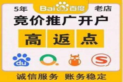 成功案例：网络推广与竞价广告的完美结合